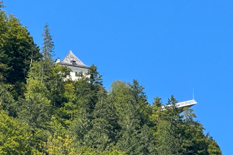 Vienna: Hallstatt, Salzkammergut Escursione di un giorno con opzione barca