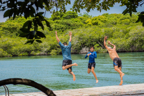 Cartagena : excursion d'une journée sur l'île de Cocoliso dans les îles RosarioVisite de l'île de Cocoliso avec déjeuner et boissons non alcoolisées