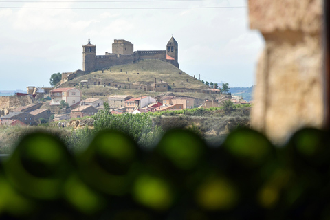 La Rioja: CM Matarromera Winery Tour