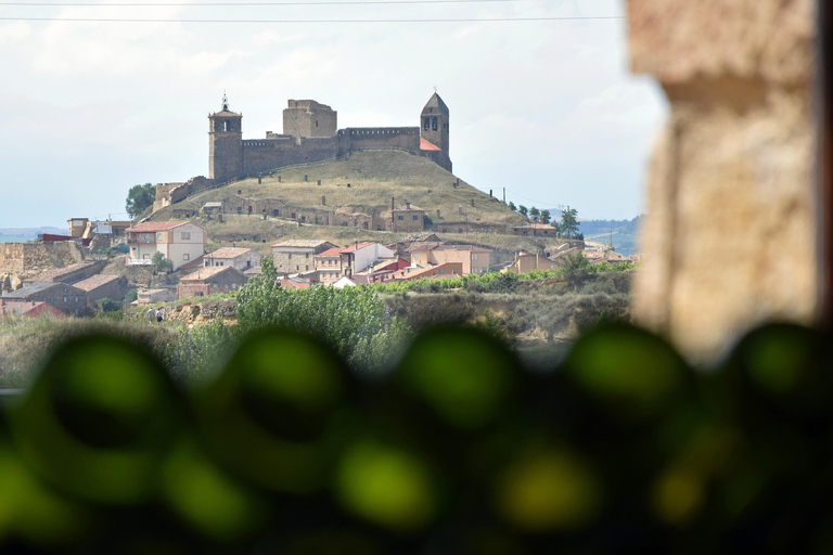 La Rioja: CM Matarromera Winery Tour