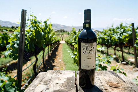 Medellin: Wine Tour in Antioquia, Flavors and unforgettable moments
