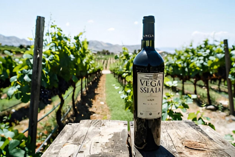 Medellin: Wine Tour in Antioquia, Flavors and unforgettable moments