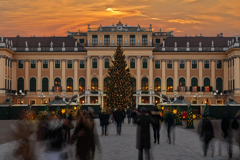 Schönbrunn: Christmas Market, Palace Tour, & Concert Category C