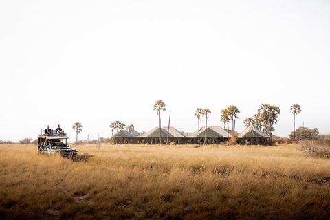 From Maun: 3-Day Makgadikgadi Salt Pans Safari Adventure