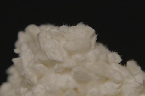 Kanazawa: Discover Koji Fermentation at Historic Brewery