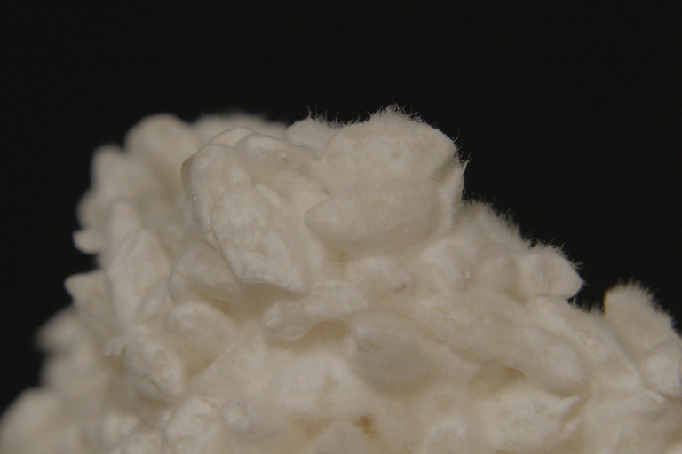 Kanazawa: Discover Koji Fermentation at Historic Brewery