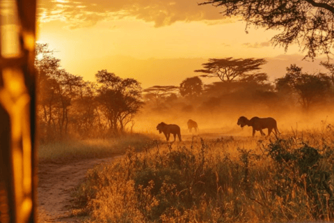 2-Day Luxury Kruger Safari from Johannesburg