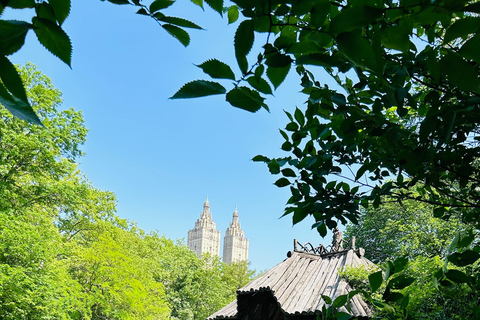 NYC: Central Park guided walking tour