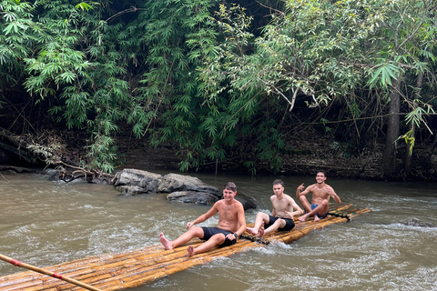 Chiang Mai: Ethical Elephant Experience with Bamboo Rafting