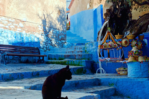 De Fez: Viagem de 1 dia a Chefchaouen com motorista para um grupo de 8 pessoas