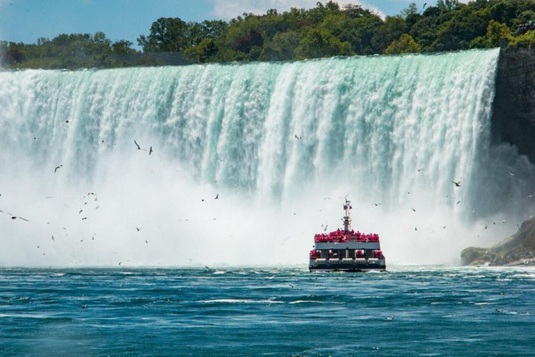 Visite des chutes du Niagara au départ des chutes du Niagara, CanadaExcursion aux chutes du Niagara avec bateau, voyage, Skylon et déjeuner