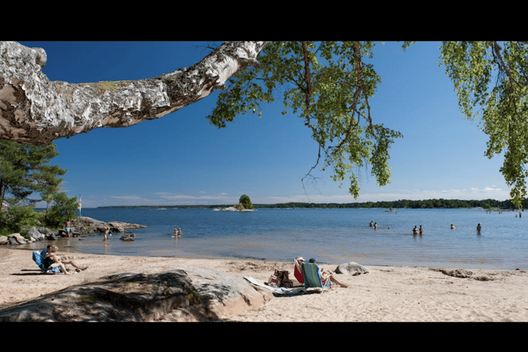 Gothenburg: Private Day Trip to Lake Vänern &amp; Läckö Castle