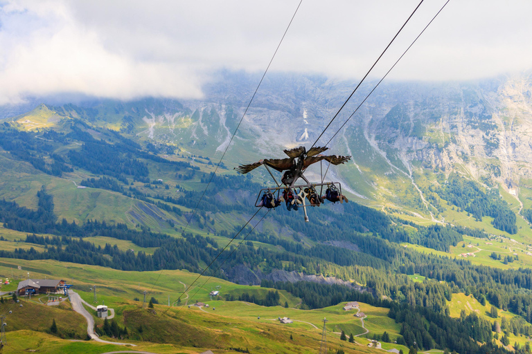 Excursión de un día panorámica privada: De Lucerna a Grindelwald e Interlaken