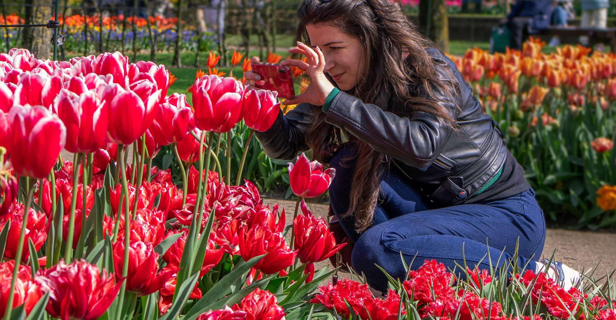Amsterdam: Keukenhof Entry & Shuttlebus with Flexible Return photo 6