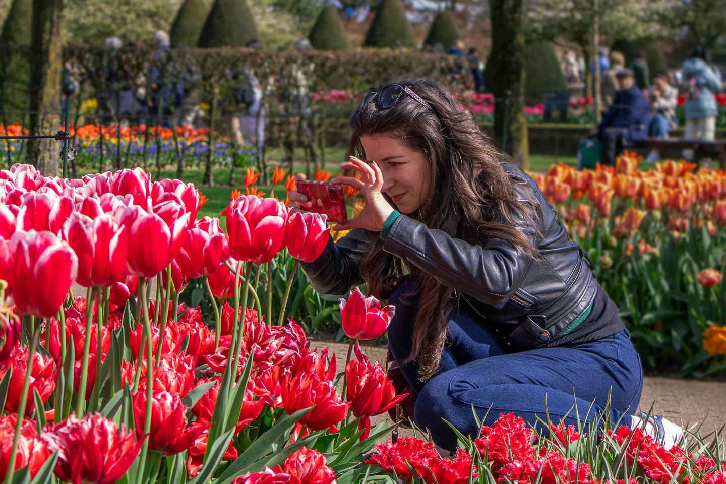 Amsterdam: Visita ai Giardini Keukenhof e Crociera Mulini