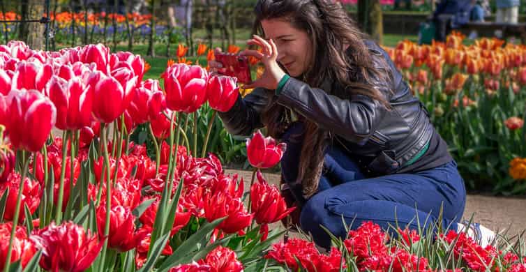 Amsterdam: Keukenhof Entry & Shuttlebus with Flexible Return photo 6