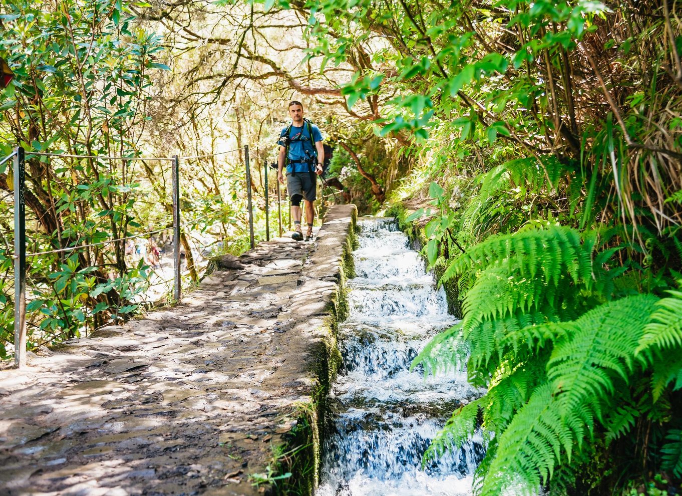 Madeira: Nyd en guidet gåtur i Levada i Rabaçal-dalen