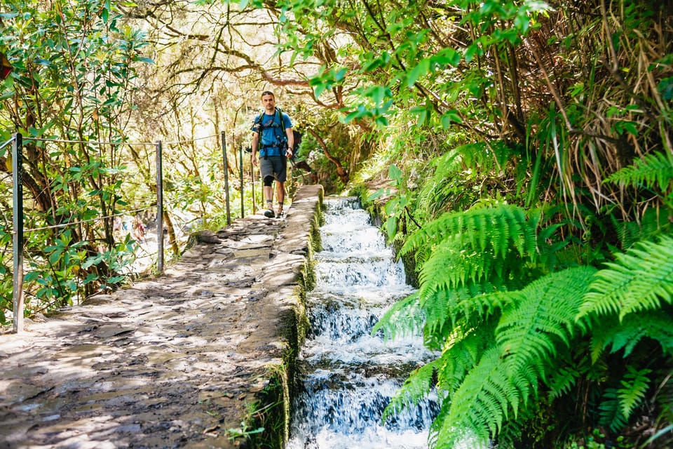 Madeira: Enjoy a Guided Levada Walk in the Rabaçal Valley | GetYourGuide