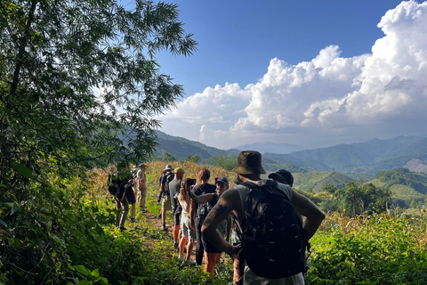 Chiang Rai: Jungle Adventure-Group Trekking & Bamboo Cooking