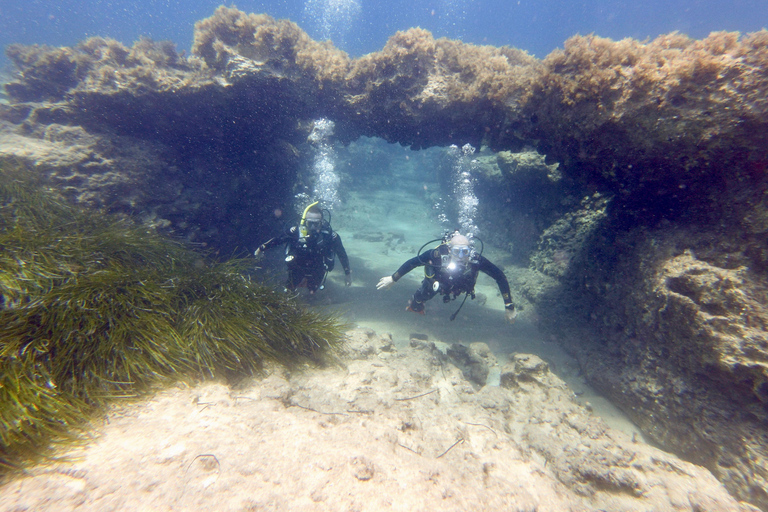 Paphos: Entdecken Sie das Tauchen mit Abholung