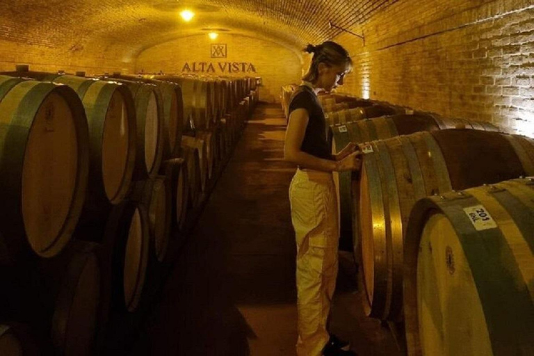 Mendoza : visite d'une jounée, visite et dégustation - 3 domaines viticolesRégion Maipu