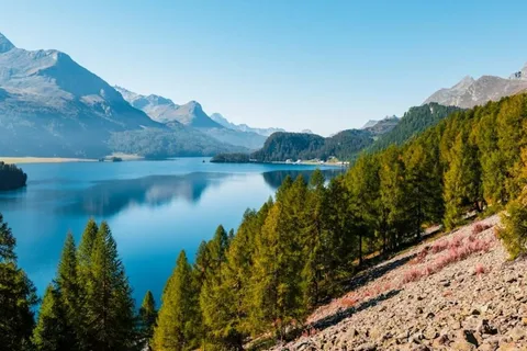 Lucerne: Private day Trip to St. Moritz