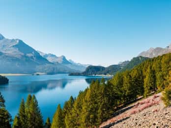 Luzern: Private Tagestour nach St. Moritz