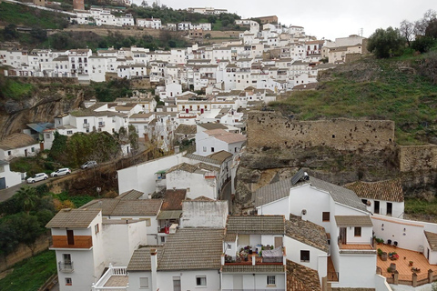 De Ronda: Viagem de um dia para Setenil de las BodegasSetenil de las Bodega: Setenil de Ronda sem um guia