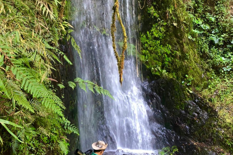 Manu 2 Days: Jungle Adventure and Wildlife Watching