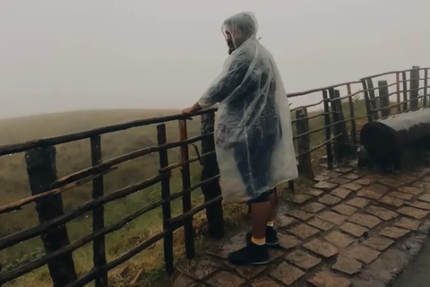 De Kochi a Munnar: Eravikulam, finca de té y cascadas