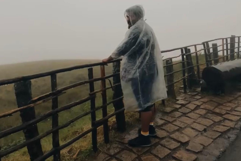 De Kochi a Munnar: Eravikulam, finca de té y cascadas