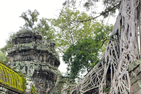 Phnom Penh–Siem Reap Angkor: 5 Day Private Tour in Cambodia Start from Phnom Penh to Siem Reap