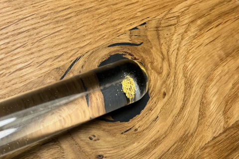 Mannheim: Gold panning with a local guide and accessories Mannheim: Gold panning with a local guide and gear