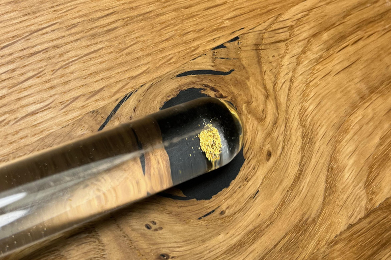 Mannheim: Gold panning with a local guide and accessories Mannheim: Gold panning with a local guide and gear