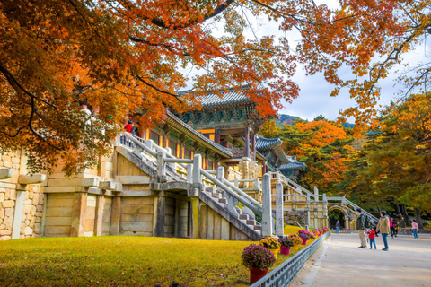 Au départ de Busan : visite d&#039;une jounée à Gyeongju, une ville historiqueVisite partagée depuis la sortie 12 de la station de métro Seomyeon