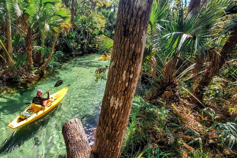 Florida: VIP Wild Florida Kayak Adventure VIP Wild Florida Kayak Adventure - Single Kayak