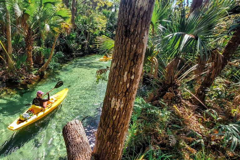 Florida: VIP Wild Florida Kayak Adventure VIP Wild Florida Kayak Adventure - Single Kayak