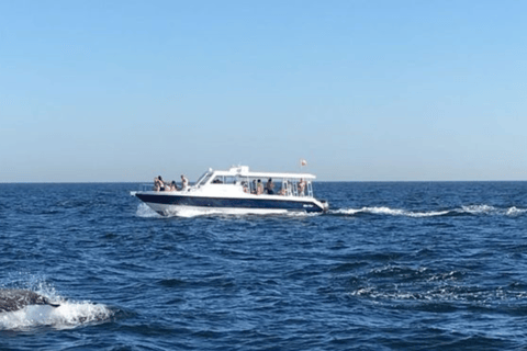 Muscat: Daymaniat Islands Snorkeling Tour with Refreshments.