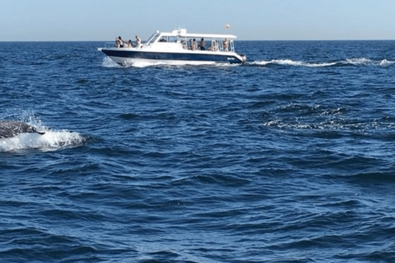 Muscat: Snorkeling na wyspach Daymaniat z przekąskami.