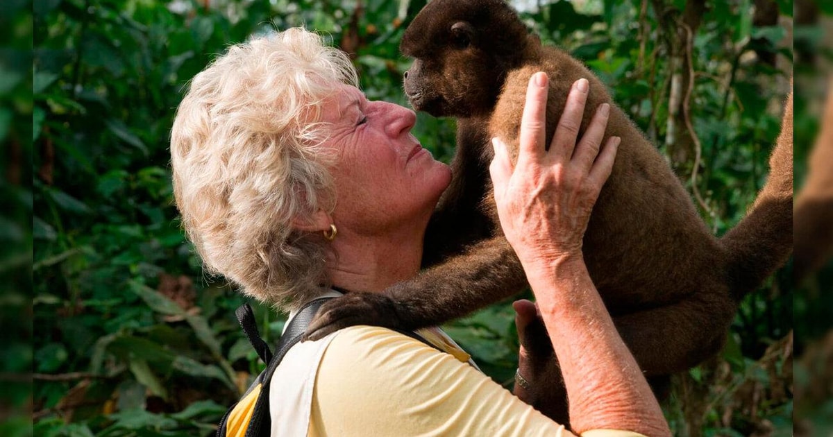 Iquitos: 2-daagse excursie naar het Amazonewoud. | GetYourGuide