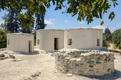 Pafos: visita guiada a Choirokitia y Famagusta con traslados