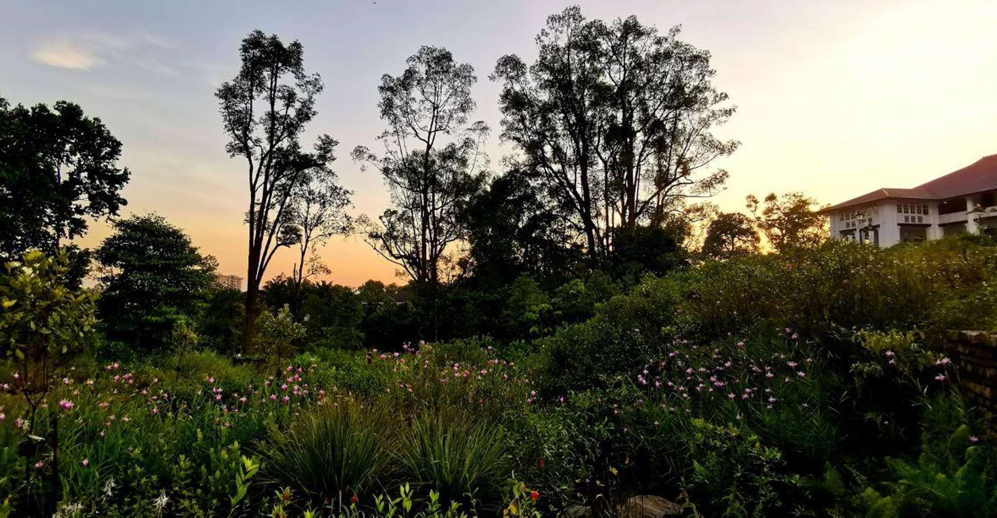 Bay Walkingツアーによる植物GDNS、Tiong Bahru＆Gardens - Hizvo