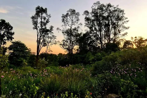 Excursão a pé pelo Jardim Botânico e Tiong Bahru com café da manhã