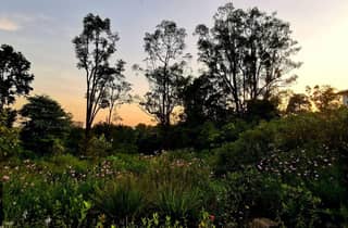 Singapur: Botanischer Garten & Tiong Bahru Spaziergang mit Frühstück
