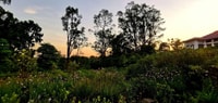 Botanic Gdns, Tiong Bahru & Gardens by the Bay Walking Tour - Hizvo