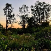 Singapore: Botanic Gardens & Tiong Bahru Walk w/Breakfast