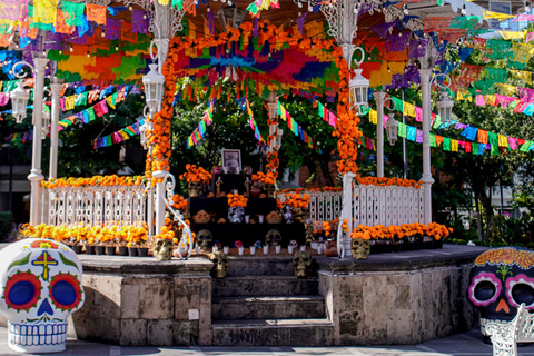 Signatur stadsvandring: Den privata upplevelsenSignature Stadsvandring: Den privata upplevelsen