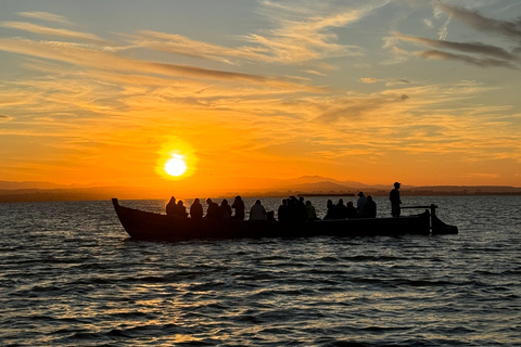 Albufera von Valencia: Geführte Bootsfahrt um die Albufera