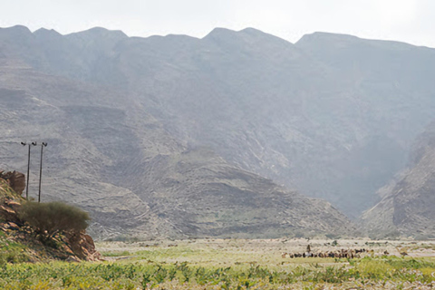 Wadi Dayqah/Wadi Al Arbaeen/Wadi Mayh (excursión de un día) 8 horas