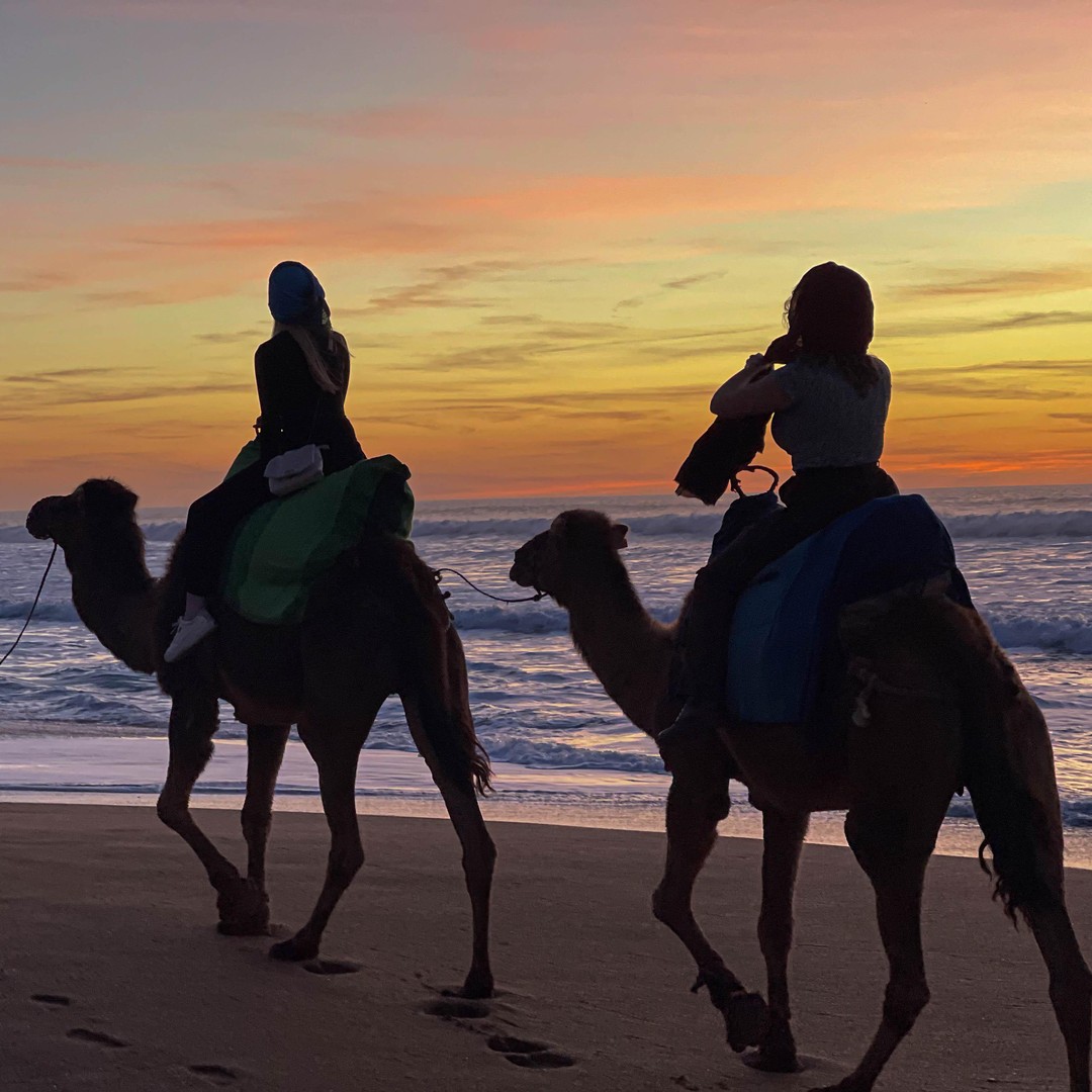 Balade à dos de chameau au coucher du soleil, cap Spartel et grottes d'Hercule - dromadaire